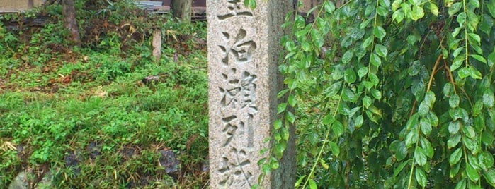 武烈天皇泊瀬列城宮址 is one of 歴代天皇の宮.