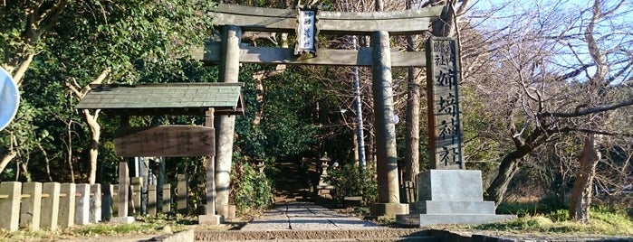姉埼神社 is one of ヤマトタケルを歩く.