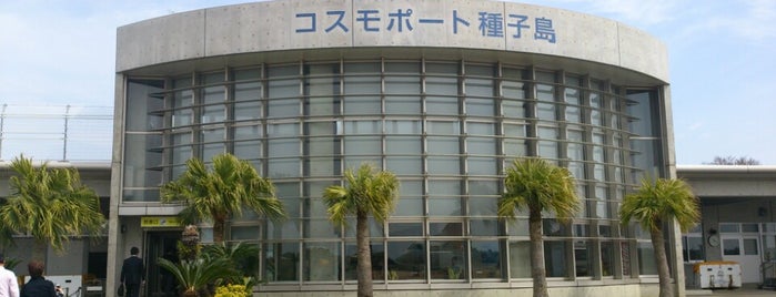 Tanegashima Airport (TNE) is one of Lugares favoritos de Minami.