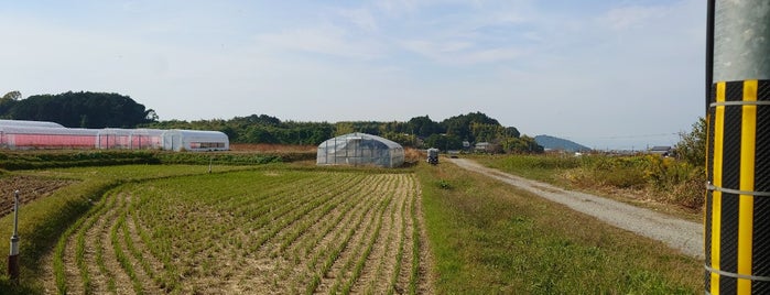 継体天皇磐余玉穂宮伝承地 is one of 歴代天皇の宮.