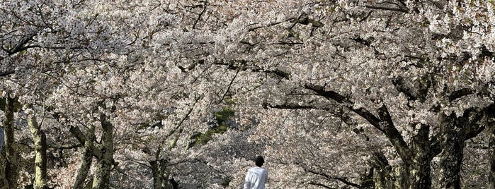 城山公園 is one of 長野に行ったらココに行く！ Vol.2.