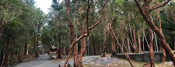 Hutan Lipur Sungai Teroi is one of Go Outdoor, MY #6.
