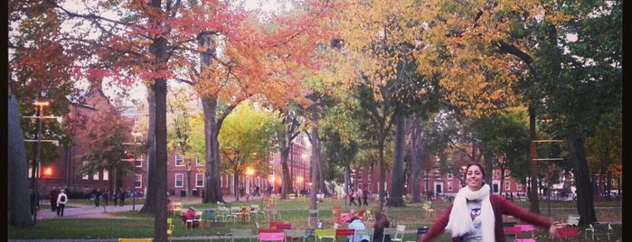 Harvard University Library is one of Boston.