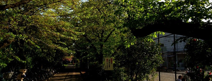 南砂三丁目公園 is one of PARK.