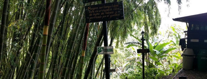 Don Julio is one of สถานที่ที่ Andres ถูกใจ.