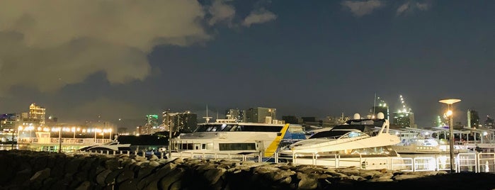 Boat/Ferry/Harbor/Yacht