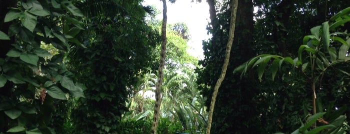 Parque de la exótica flora tropical y Misión nuestra Señora del Carmen is one of Lieux qui ont plu à Gaby.