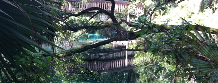 Juniper Springs Recreation Area is one of Nord-Florida Panhandle / USA.