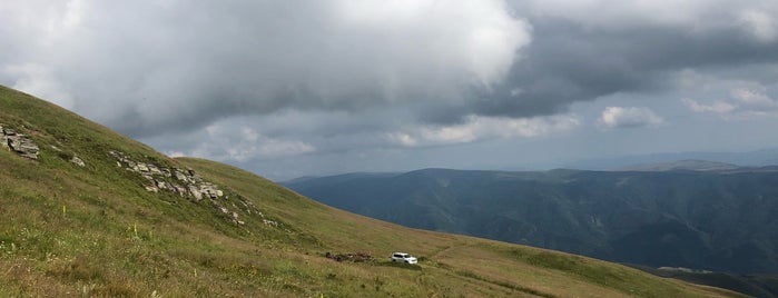 Stara planina is one of Ski resorts visited.