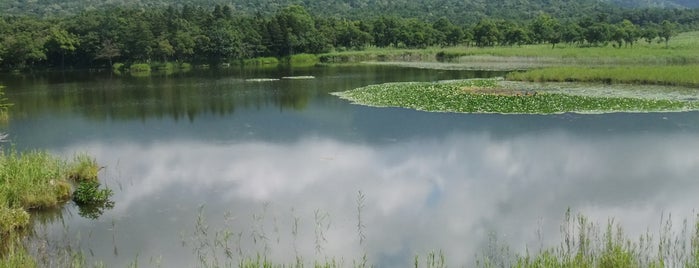 知床五湖 is one of 北海道.