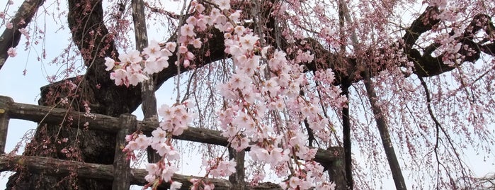 Hirosaki Castle is one of 東北.