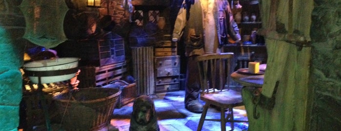 Hagrid's Hut is one of Harry Potter Studios.