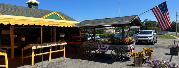 Country View Farm Stand II is one of Go - Day Trips near NYC.