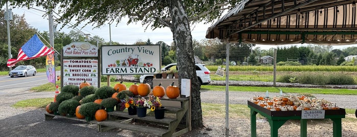 Country View Farm Stand is one of Greenport.