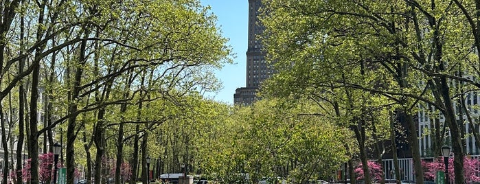 Cadman Plaza Park is one of Brooklyn.