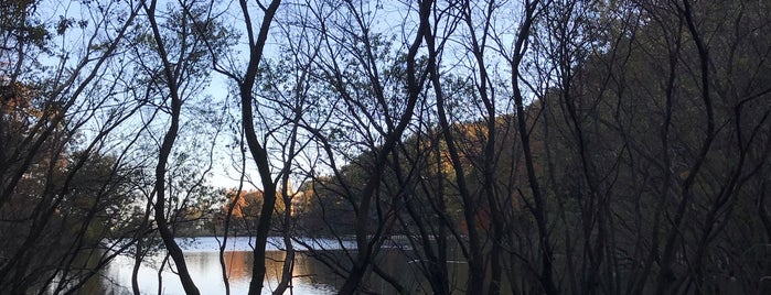 八丁湖公園 is one of 公園_埼玉県.