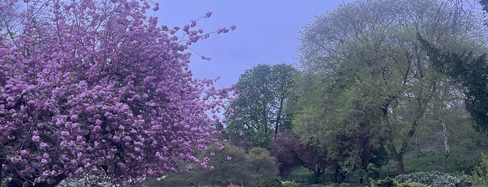 Castle Gardens is one of Places To Go: Leicester.