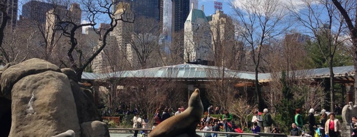 Central Park Zoo is one of Kids love NYC.
