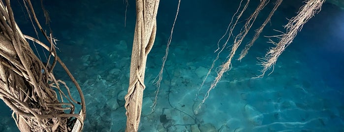 Cenotes Santa Barbara is one of Para recomendar.
