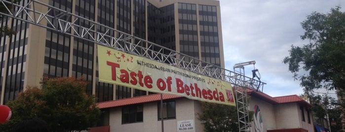 Taste of Bethesda 2017 is one of Great food!.