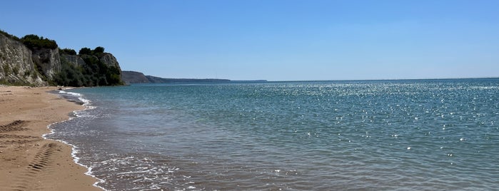 Bendida Beach is one of Black Sea 2016.