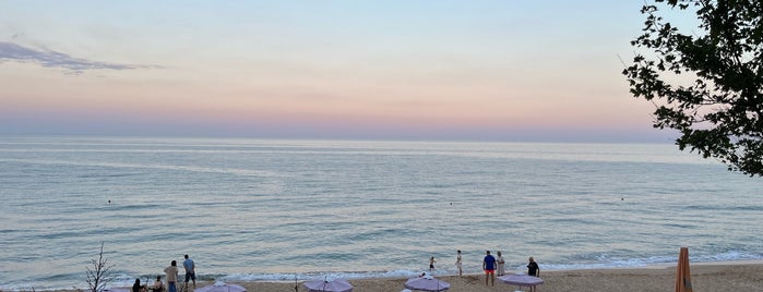 Laguna Beach (Golden Sands) is one of Bulgarian beaches.