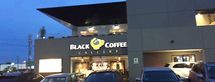 Black Coffee Gallery by Amador Montes is one of Buen Café Matutino.
