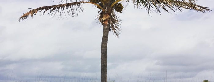 Siesta Key Playground is one of завтрак.