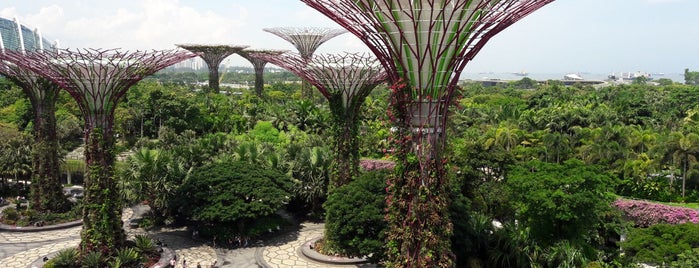 Gardens by the Bay is one of Sophie 님이 좋아한 장소.