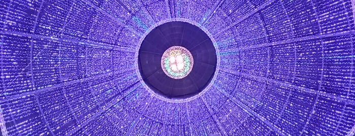 Galleria Vittorio Emanuele II is one of Orte, die Sophie gefallen.