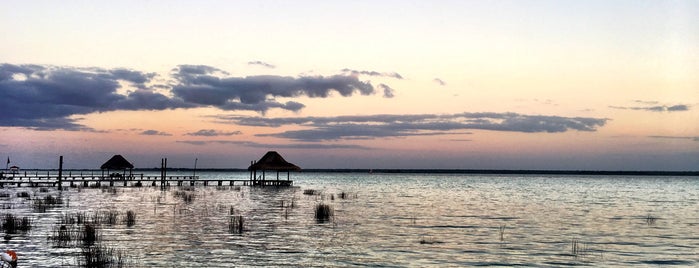 Los Aluxes is one of สถานที่ที่ Googliana ถูกใจ.