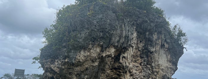 Tsunami Rock is one of Tonga.