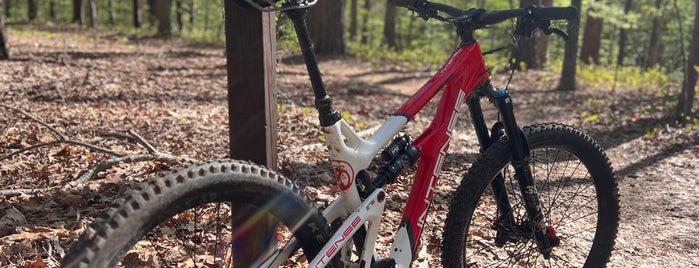 Lake Crabtree County Park is one of Raleigh, NC.