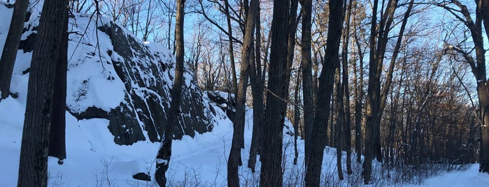 Webster Conservation Area is one of places to check out.