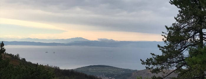 Saint Panteleimon Monastery is one of Thassos.