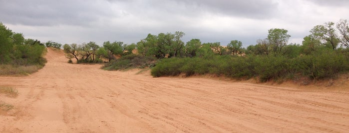 Little Sahara State Park is one of Jake 님이 저장한 장소.