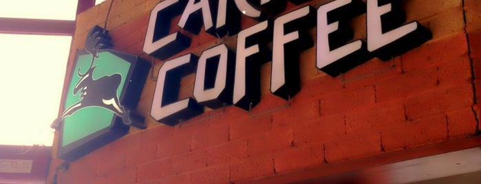 Caribou Coffee is one of Tempat yang Disukai Feras.
