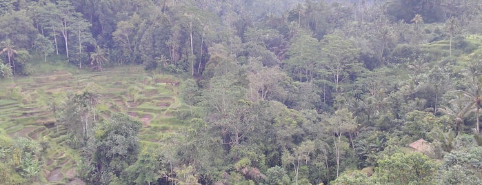 Bali Pulina Agro Wisata is one of Locais curtidos por Ibu Widi.