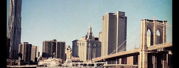 Brooklyn Bridge Park is one of Discover Brooklyn!.