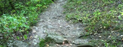 The Quiddity Trail is one of สถานที่ที่ Nieko ถูกใจ.