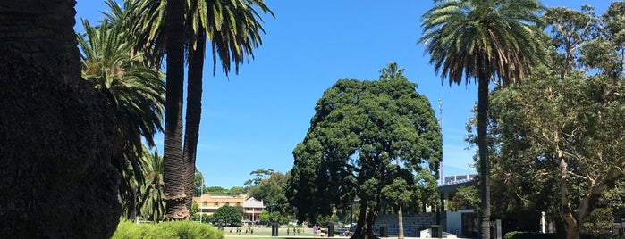 Redfern Park is one of Redfern's Best Spots.