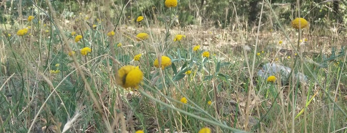 Dağ Başı is one of Lieux qui ont plu à Dr.Gökhan.