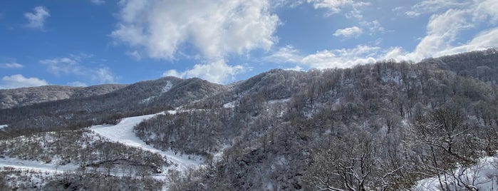 Maiko Snow Resort is one of 滑ったところ.