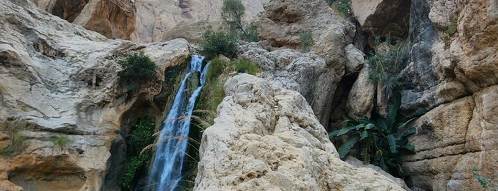 Wadi Tiwi is one of Posti che sono piaciuti a Ruud.