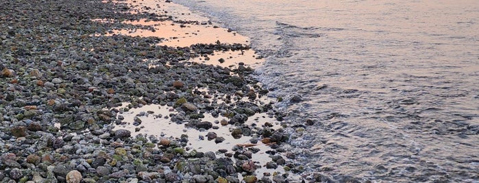 azaiba beach is one of #Oman.