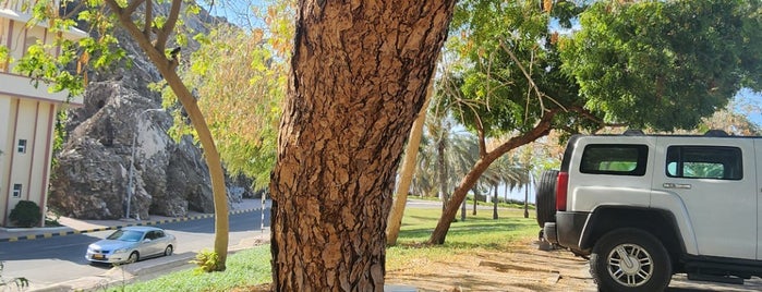 Riyam Public Park is one of Oman.
