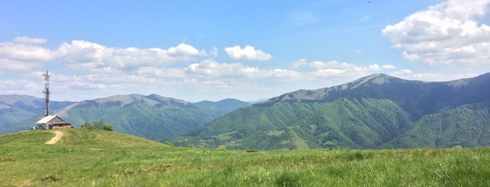 Хребет "Квасний Верх" (1250 м.) is one of Карпати.