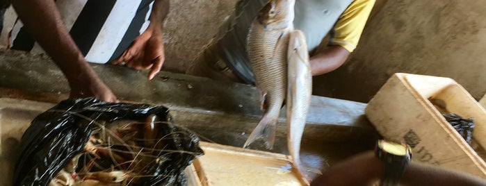 Msasani Fish Market is one of Authentic Dar Es Salaam.