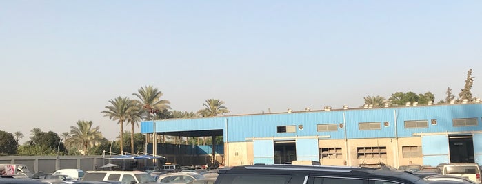Mansour Chevrolet is one of All-time favorites in Egypt.