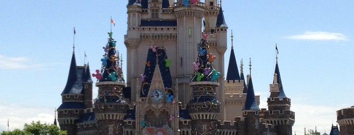 Tokyo Disneyland is one of Amusement Parks.
